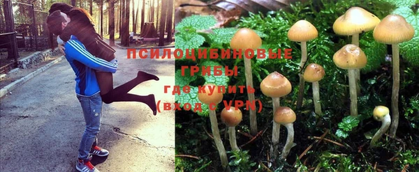 винт Остров
