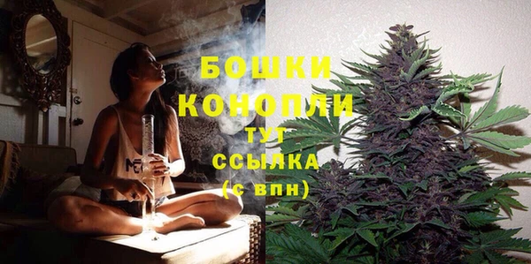 дмт Осинники