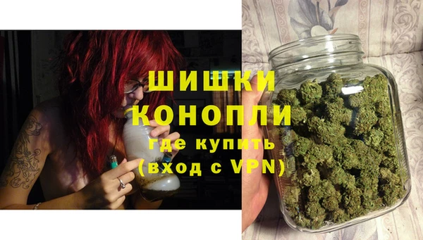 дмт Осинники