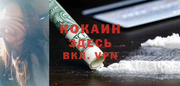дмт Осинники