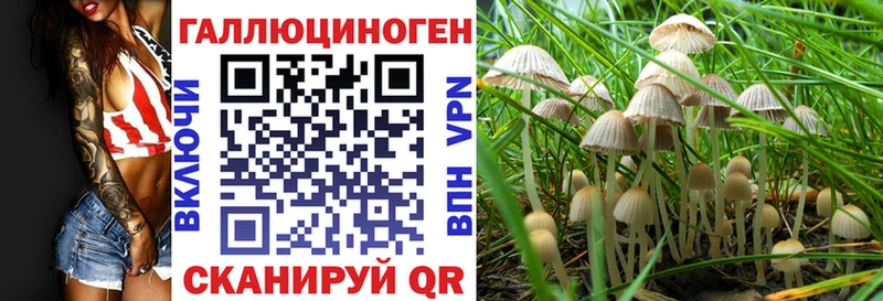 omg онион Кемь Галлюциногенные грибы прущие грибы где найти наркотики